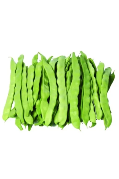 Sarı Kız 40 Günlük Fasülye Tohumu 500 Gr. (1300 ADET) Erkenci Oturak Fasulye Tohumu Sarıkız Fasulye - Resim 2