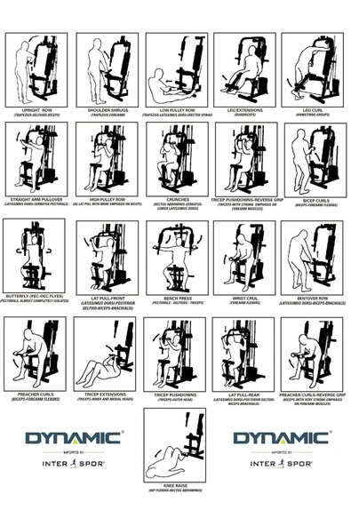 Dynamic 1001 Çalışma İstasyonu 67 Kg Plaka Ağırlıklı Daire Kapınıza Teslim Edilir - 5