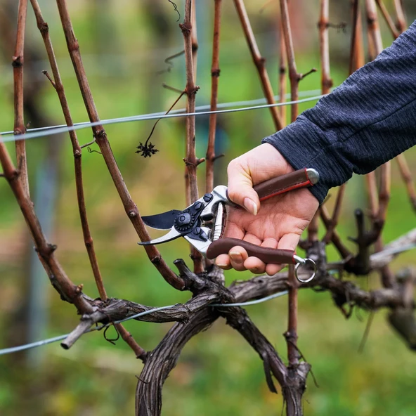 Felco 6 Elite Budama Makası - Resim 2