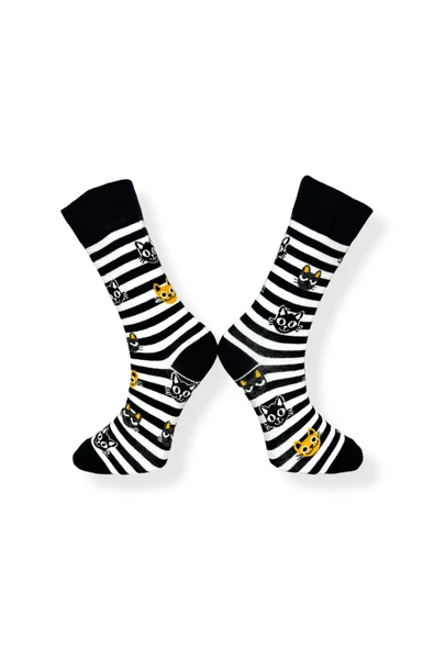 Tekli Unisex Kedi Desenli Siyah Renkli Esnek Nem Alabilen Pamuklu Çorap - Resim 2