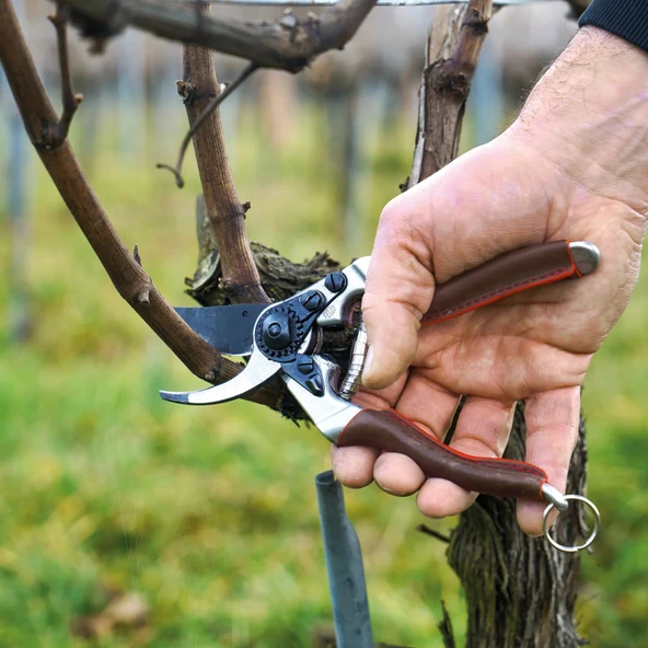 Felco 8 Elit Budama Makası - 2