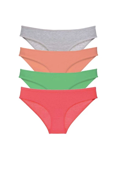 4 adet Süper Eko Set Likralı Kadın Slip Külot Gri Pudra Yeşil Fuşya ürün görseli