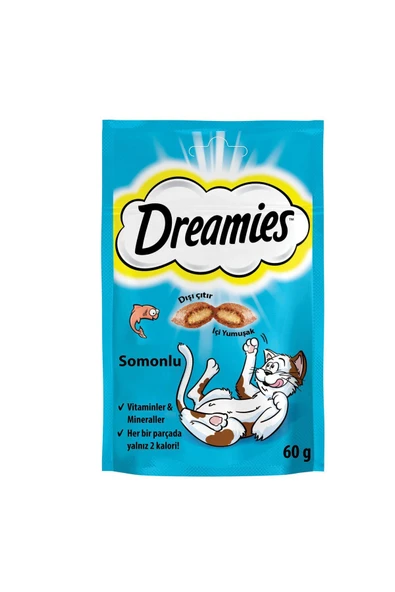 DREAMİES KEDİ ÖDÜL MAMASI