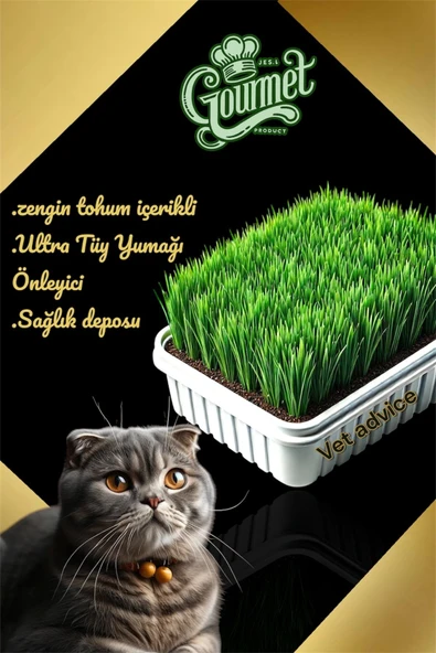 vet advice Gurme Kedi Çimi Zengin Tohumlu Lüks Kedi Çimi Fileli ürün görseli 1