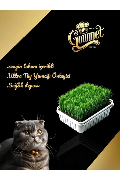 vet advice Gurme Kedi Çimi Zengin Tohumlu Lüks Kedi Çimi Fileli - Resim 2
