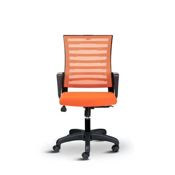 Asbir Mobilya Capri Fileli Metal Ayaklı Ev Ofis Koltuğu Çalışma Koltuğu