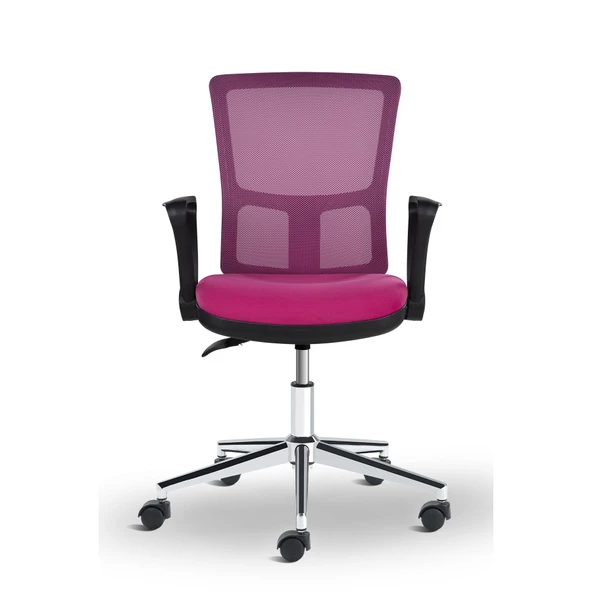 Asbir Mobilya Vega Metal Ayaklı Çalışma Koltuğu Personel Koltuğu ürün görseli