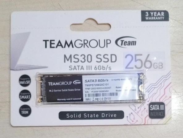 256 GB Team MS30 TM8PS7256G0C101 M.2 SSD Harddisk (530  OKUMA / 480 YAZMA)