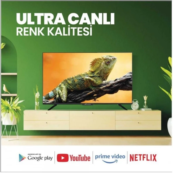 Conti CT43AN100F Full HD 43" 109 Ekran Uydu Alıcılı Android Smart LED TV - 3