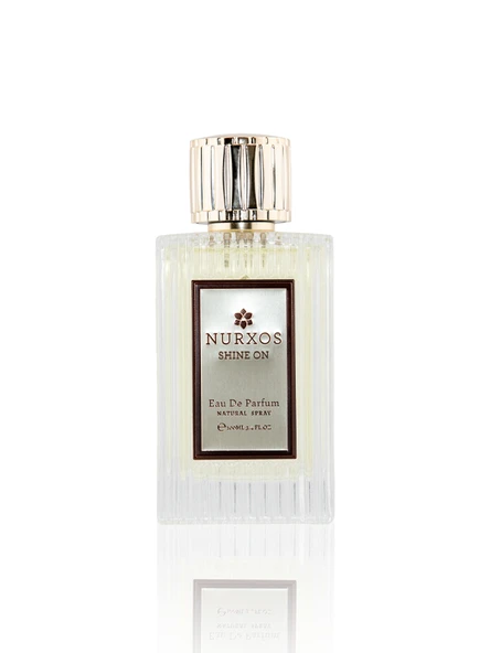 Nurxos 9893 Shine On 100 ML Edp Odunsu Erkek Parfümü - 2