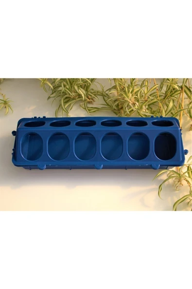 Civciv Yemliği 1 Adet Mavi Yemlik 12 Gözlü Civciv Yemliği Bıldırcın Keklik Tavuk Güvercin Yemliği