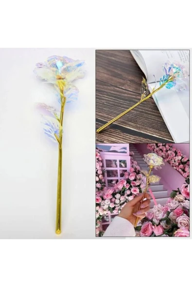 3 adet Sonsuzluk Gülü Rengarenk Hologramlı Sevgiliye Hediye 24 Cm