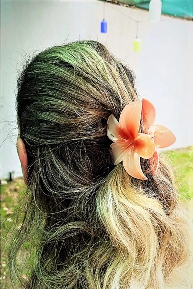 Ten Lotus Çiçek Parlak Akrilik Kadın Vintage Mandal Toka - 2