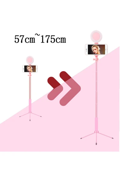 ASFAL Çift Işıklı Taşıma Çantalı Kumandalı Taşınabilir Selfie Çubuğu Alüminyum 175 cm Katlanabilir Tripod - 6