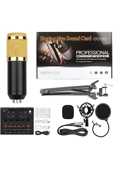ASFAL Profesyonel Stüdyo Condenser Mikrofon Seti, Youtuber, Yayıncı, Canlı Yayın Mikrofon Seti, Ses Kartı - 2