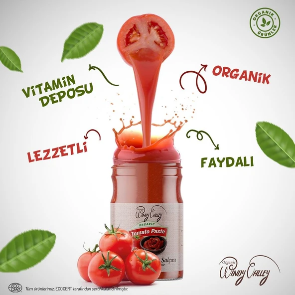 Organik Domates Salçası 2'li Paket  (650gr+650gr) İlave Tuz İçermez - 4