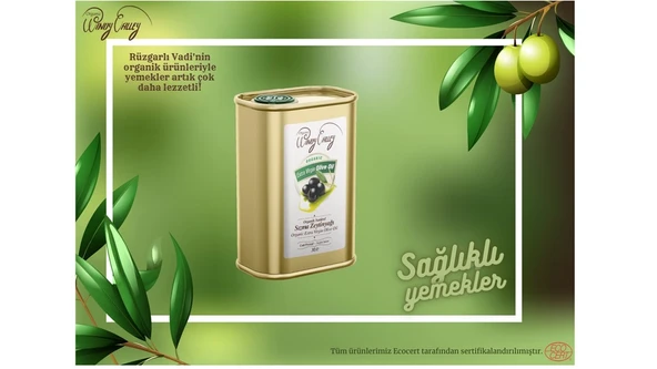 Organik Sızma Zeytinyağı Soğuk sıkım (3 Litre) Yüksek Polifenol - 4