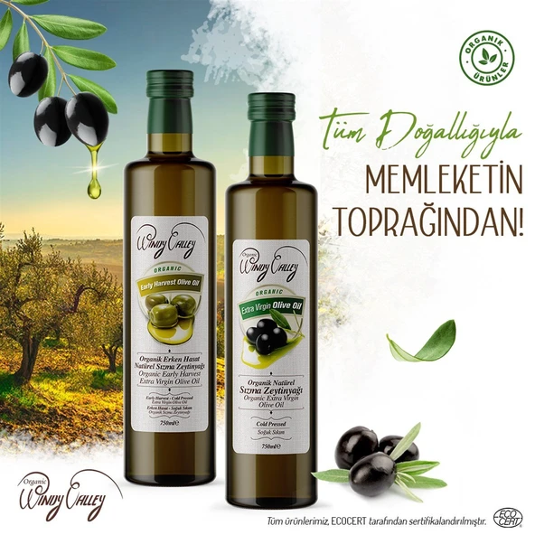 Organik Sızma Zeytinyağı Soğuk sıkım (750 ml) Yüksek Polifenol - 8