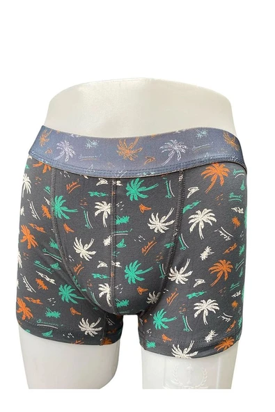 Zenura Erkek Desenli Boxer - Tropikal Palmiye Tasarım – 2304c - 3