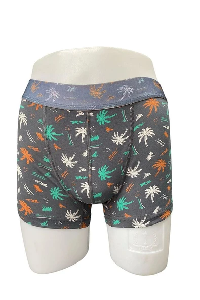 Zenura Erkek Desenli Boxer - Tropikal Palmiye Tasarım – 2304c - 2