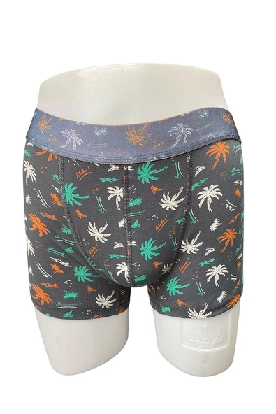 Zenura Erkek Desenli Boxer - Tropikal Palmiye Tasarım – 2304c - 4
