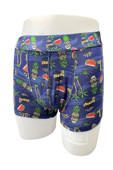 Zenura Erkek Desenli Boxer - Tropikal Kuru Kafa Tasarım – 2304b - 4