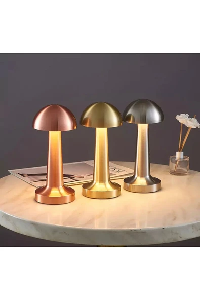 burenze Modern Led Abajur Masa Lambası Dokunmatik 3 Modlu Kademeli Şarjlı Bakır Bronz - 2