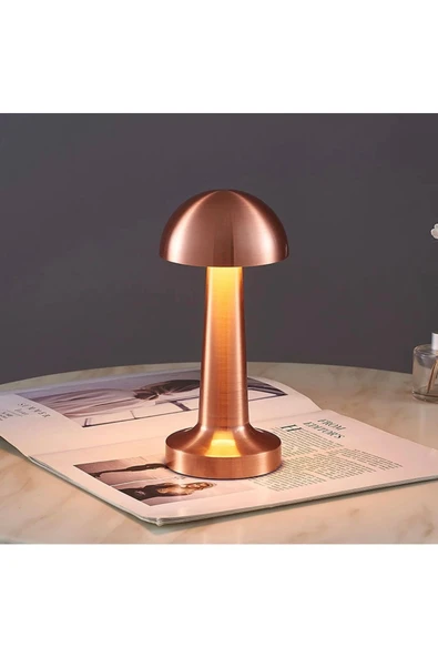 burenze Modern Led Abajur Masa Lambası Dokunmatik 3 Modlu Kademeli Şarjlı Bakır Bronz - 3