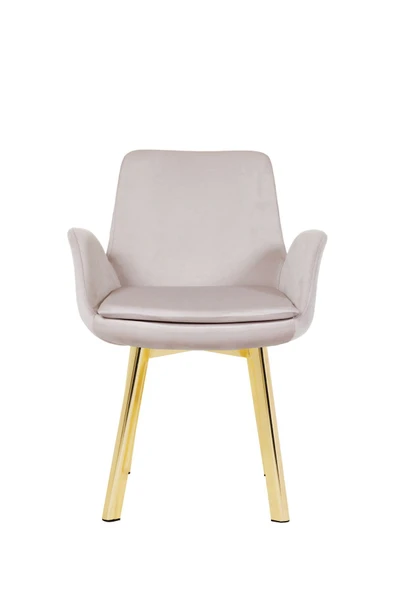 MARKAELZ GOLD METAL AYAKLI SALON/MUTFAK SANDALYESİ PESCADO (BABYFACE) ürün görseli 1