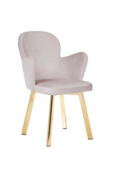 MARKAELZ GOLD METAL AYAKLI SALON/MUTFAK SANDALYESİ KOLLUKELEBEK (BABYFACE) - Resim 2