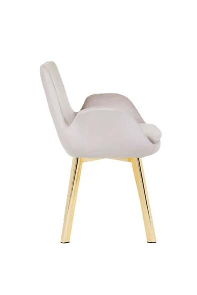 MARKAELZ GOLD METAL AYAKLI SALON/MUTFAK SANDALYESİ PESCADO (BABYFACE) - Resim 3