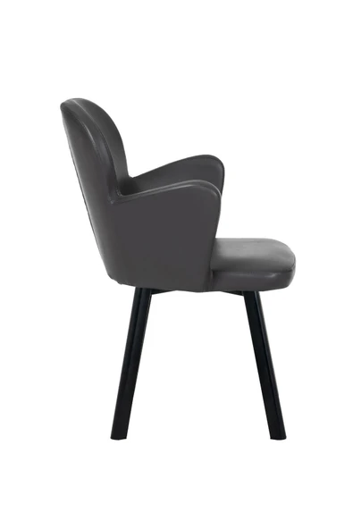 MARKAELZ SİYAH METAL AYAKLI SALON/MUTFAK SANDALYESİ KOLLUKELEBEK (DERİ) - 3