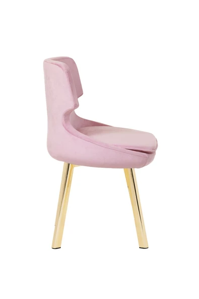 MARKAELZ Gold Metal Ayaklı Salon/mutfak Sandalyesi Selekulak (BABYFACE) - 3