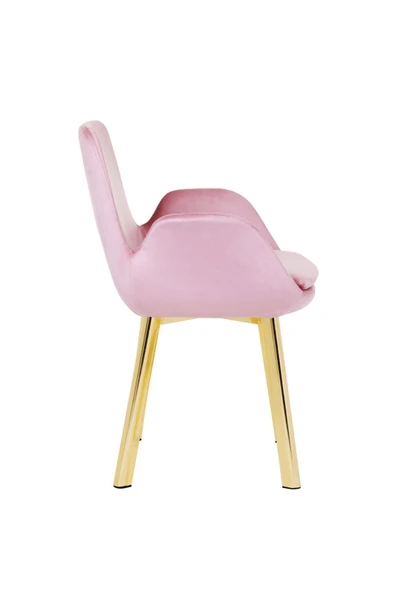 MARKAELZ GOLD METAL AYAKLI SALON/MUTFAK SANDALYESİ PESCADO (BABYFACE) - Resim 3