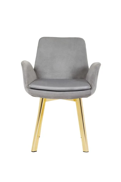 MARKAELZ GOLD METAL AYAKLI SALON/MUTFAK SANDALYESİ PESCADO (BABYFACE) ürün görseli 1