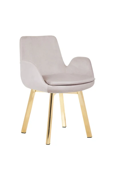 MARKAELZ GOLD METAL AYAKLI SALON/MUTFAK SANDALYESİ PESCADO (BABYFACE) - Resim 2