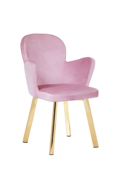 MARKAELZ GOLD METAL AYAKLI SALON/MUTFAK SANDALYESİ KOLLUKELEBEK (BABYFACE) - Resim 2