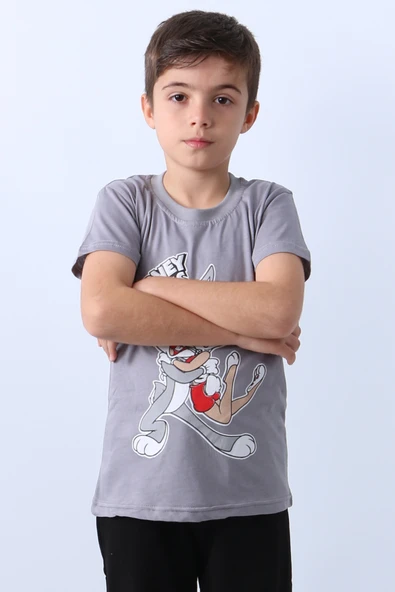 ERKEK ÇOCUK TSHİRT KARAKTER BASKILI BİSİKLET YAKA F16 - 6