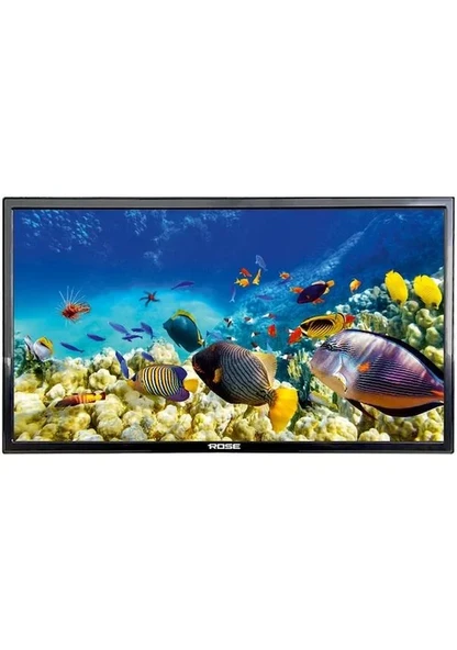 Rose CM-122 HD 22'' 55 Ekran LCD Monitör TV - 2