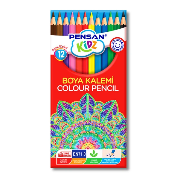 Pensan Karton Kutu Tam Boy Kuru Boya 12 Renk (56312)
