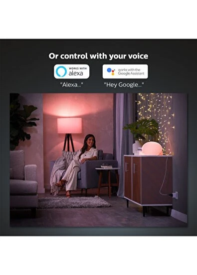 Philips Hue 1x Smart Plug Akıllı Priz - 2