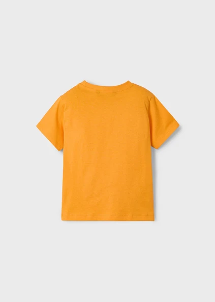 Mayoral Erkek Çocuk İkili Tshirt Set - 5