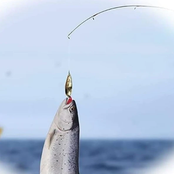 Balıkçılar İçin Özel Kutulu Gerçek Olmayan Olta Yemleri ve Balık Tutma Aksesuarı Seti - 5