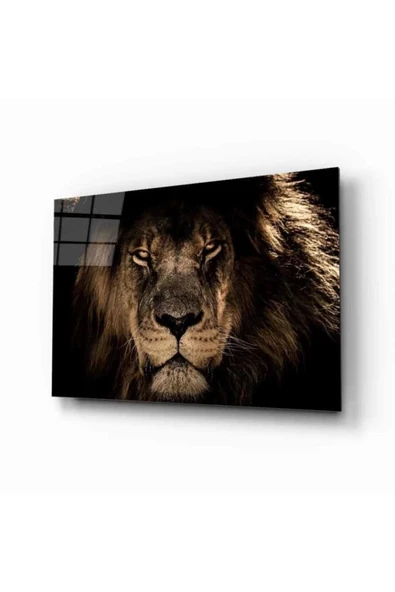 Aslan 19 Hayvan Cam Tablo