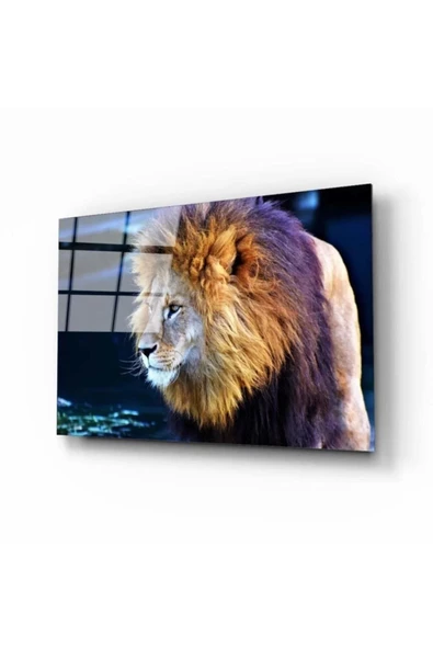 Aslan 2 Cam Tablo