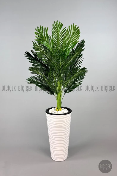 BİÇİÇEK 150cm Areka Ağacı Kumsal Saksıda - 3