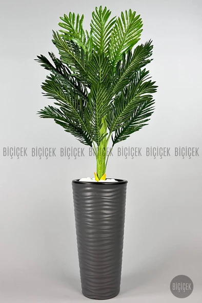 BİÇİÇEK 150cm Areka Ağacı Kumsal Saksıda - 9