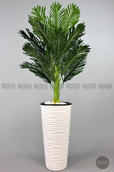 BİÇİÇEK   150cm Areka Ağacı Kumsal Saksıda - 1