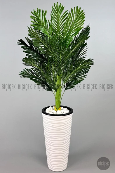 BİÇİÇEK   150cm Areka Ağacı Kumsal Saksıda - 4