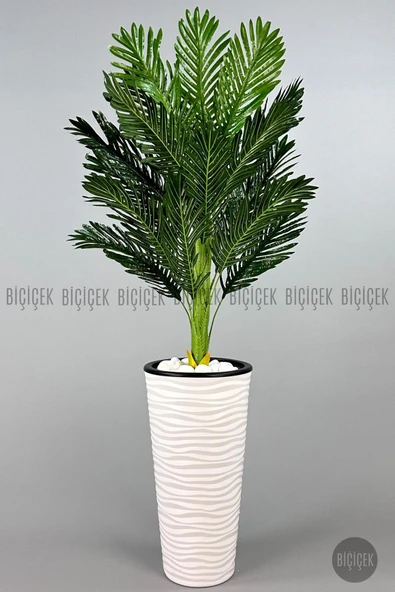 BİÇİÇEK   150cm Areka Ağacı Kumsal Saksıda - 6